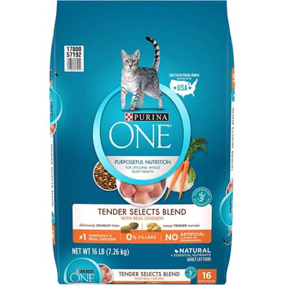 Purina ONE Tender Selects Blend Adult - Best Dry Food for Cats