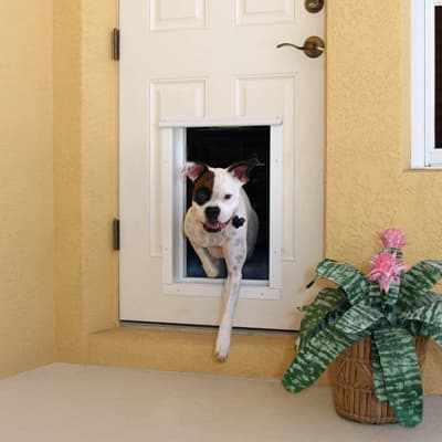 Plexidoor Large Wall Mount PDE Electric Pet Door