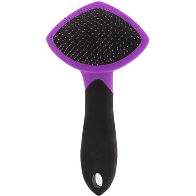 Hertz Groomer's Best Grooming Tools