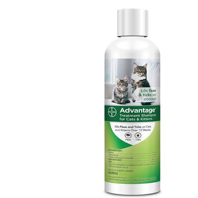 Bayer Animal Health Advantage Shampoo Flea And Tick Treatment - Best Flea Shampoos for Cats