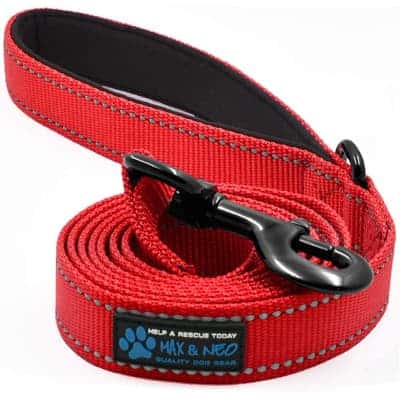 Max and Neo Reflective Nylon Dog Leash