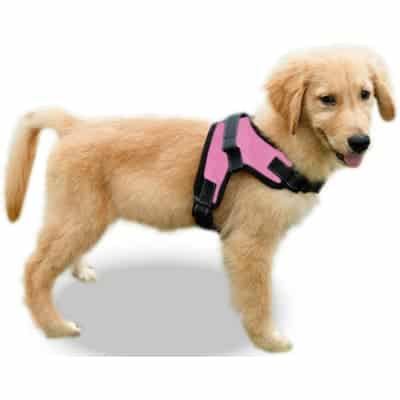 Copatchy No Pull Reflective Adjustable Dog Harness with Handle