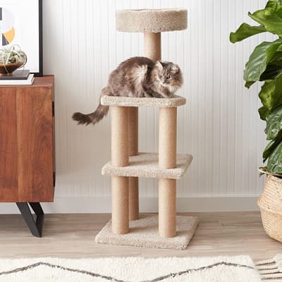 AmazonBasics Cat Activity Tree - Best Cat Trees for Apartments