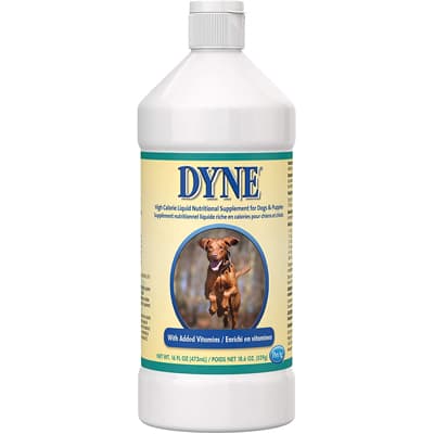 Dyne High Calorie/Weight Gainer Formula