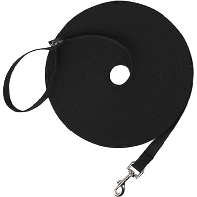 Hi Kiss Dog/Puppy Training Leash