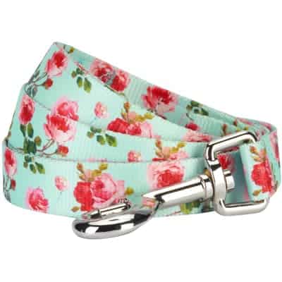 Blueberry Pet 20 plus Patterns Floral Collection - Best Everyday Dog Leashes
