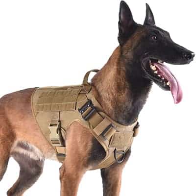 ICEFANG Tactical Dog Harness