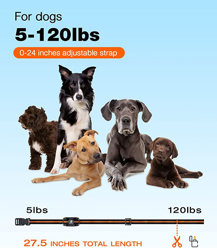 Bousnic Dog Shock Collar - 3300Ft Dog Training Collar with Remote
