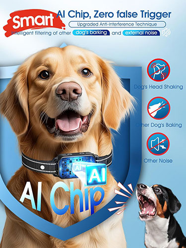 DINJOO Smart Bark Collar