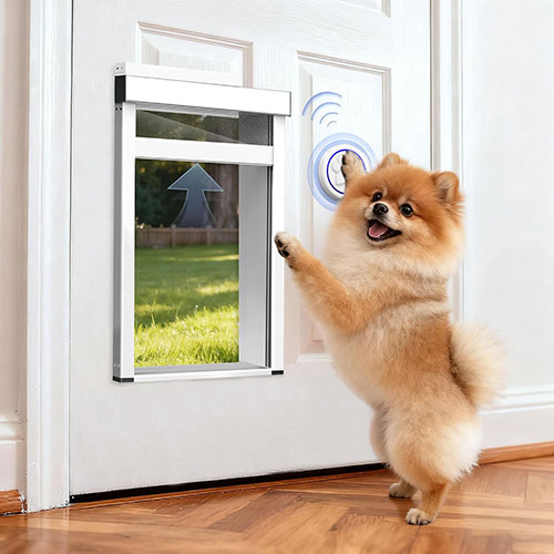 Tidytech - Automatic Dog Door with Doorbell Activation