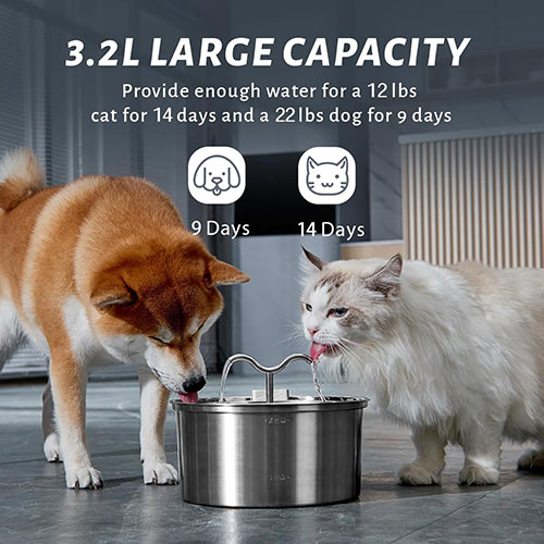 DOOOB Cat Water Fountain