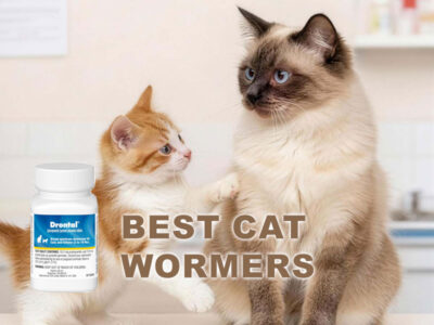 Best Cat Wormers for Cats and Kittens