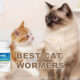 Best Cat Wormers for Cats and Kittens