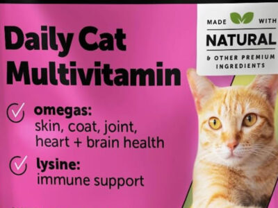 Best Vitamins for Cats Top Supplements for Health
