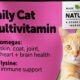 Best Vitamins for Cats Top Supplements for Health