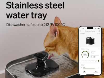 Best Water Fountains for Cats and Dogs