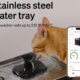 Best Water Fountains for Cats and Dogs