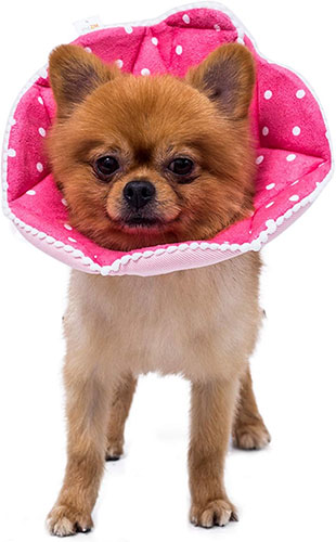 WZ PET Adjustable Dog Cat Cone