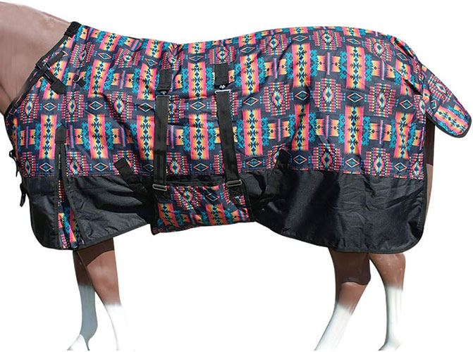 HILASON Winter Waterproof Turnout Blanket