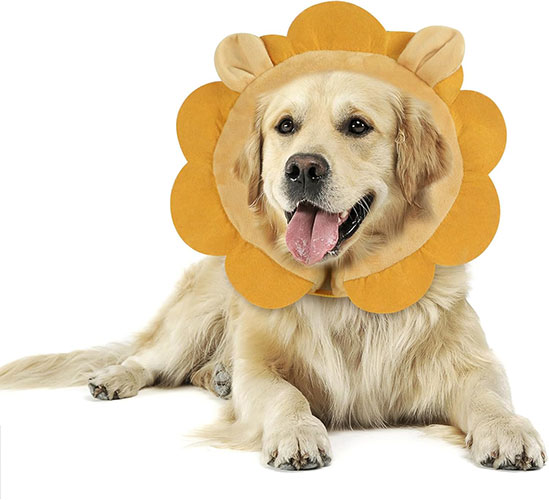 IEUUMLER Inflatable Recovery Dog Collar