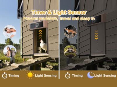Best Automatic Chicken Coop Doors