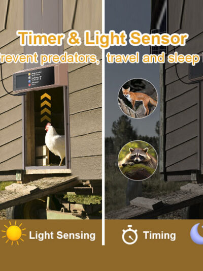 Best Automatic Chicken Coop Doors
