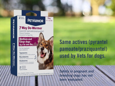 Best Dog Wormers