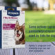 Best Dog Wormers