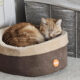 Best Heated Cat Beds